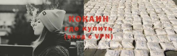 шишки Белокуриха