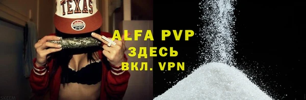 шишки Белокуриха