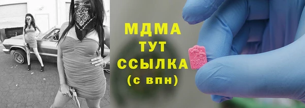 шишки Белокуриха