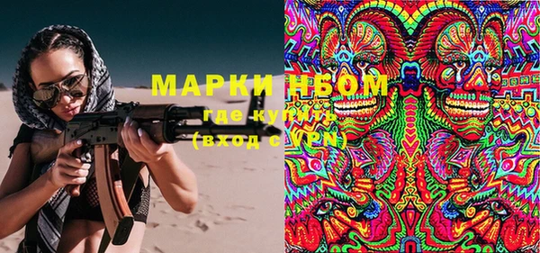 шишки Белокуриха