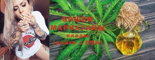 шишки Белокуриха