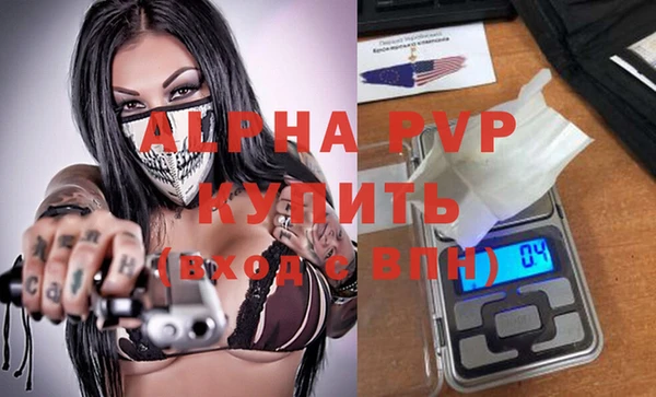 шишки Белокуриха