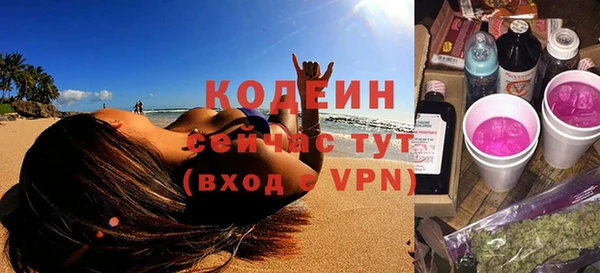 шишки Белокуриха