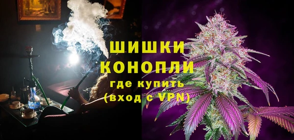 шишки Белокуриха