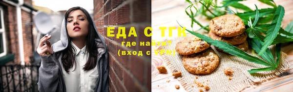 шишки Белокуриха