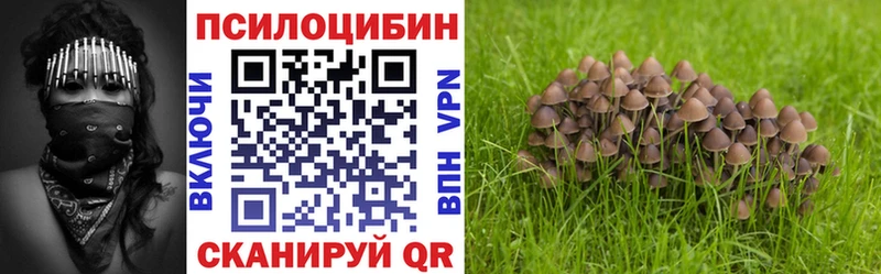 Галлюциногенные грибы ЛСД  hydra сайт  Волосово 
